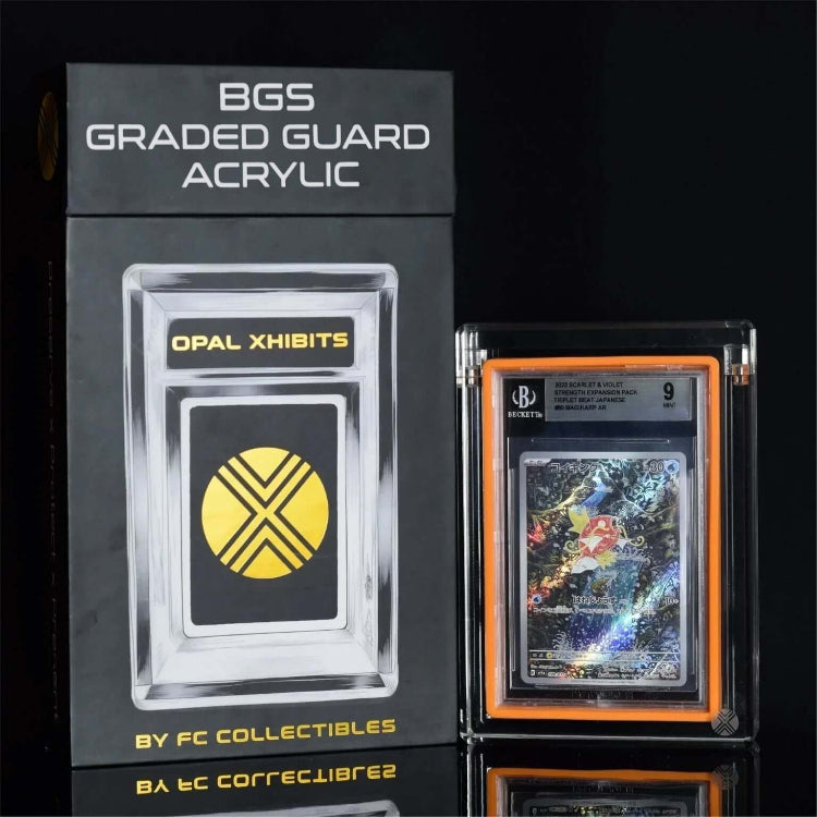 BGS slab protector