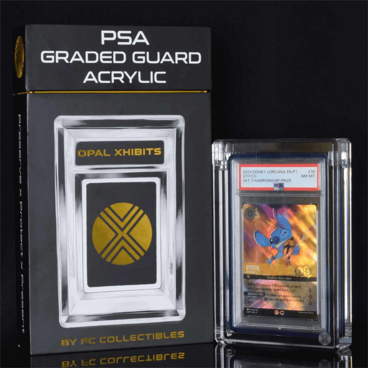 PSA slab protector