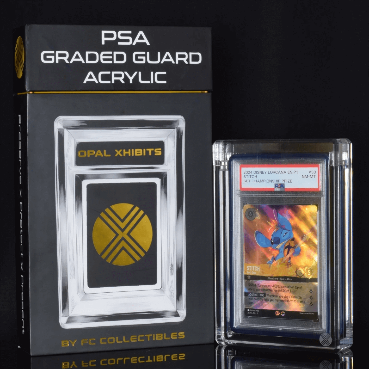 PSA slab protector