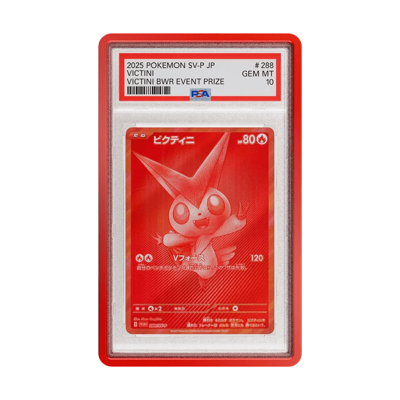 graded card protector